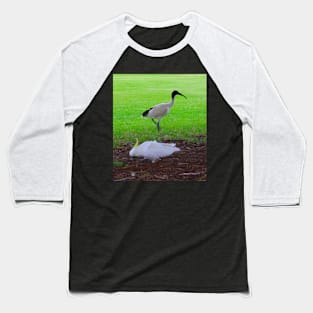 The ibis & the Cockatoo! Baseball T-Shirt